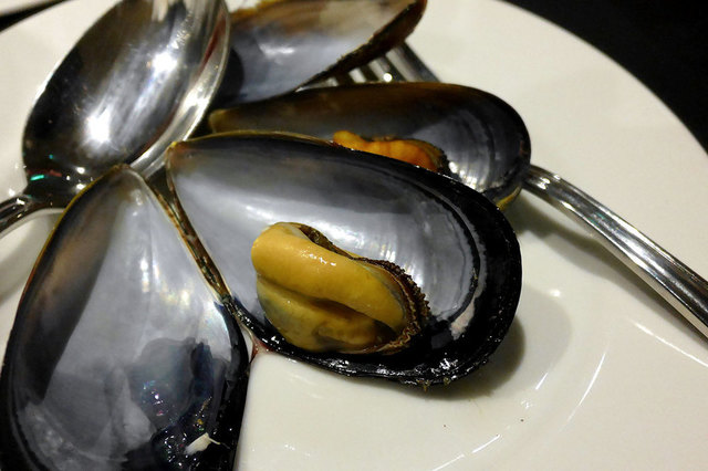 mussels_12.jpg