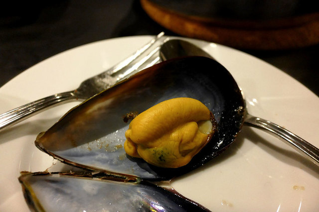 mussels_23.jpg